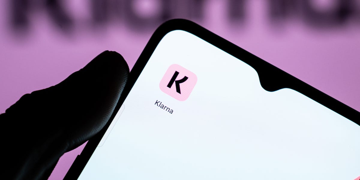 Klarna CEO says the company stopped hiring a year ago because AI 'can already do all of the jobs'