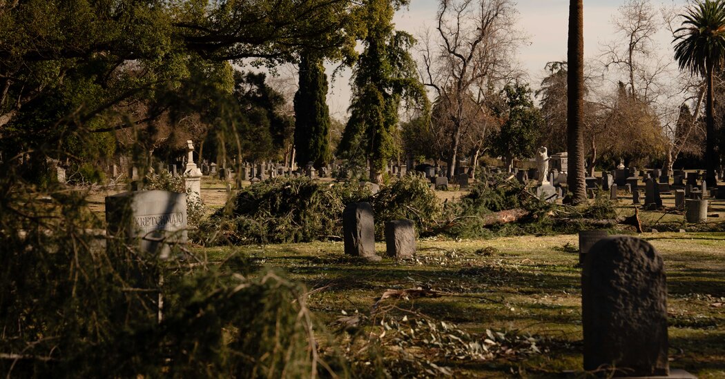 As the Living Fled, a Race to Save the Dead at an Altadena Cemetery