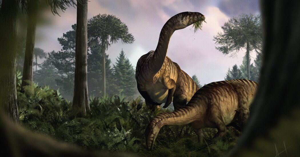 Dinosaur Domination Is Marked in a Timeline of Vomit and Feces Fossils