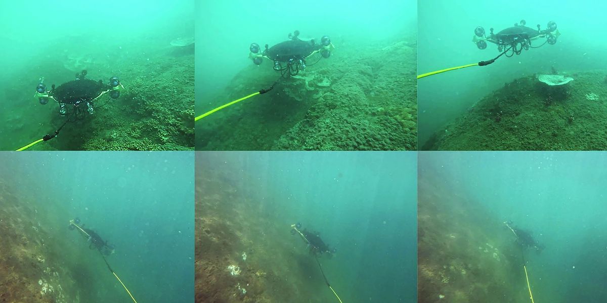 Robot Gets Up Close to the Seabed Without Disturbing It